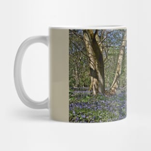 Bluebells in the woods Mug